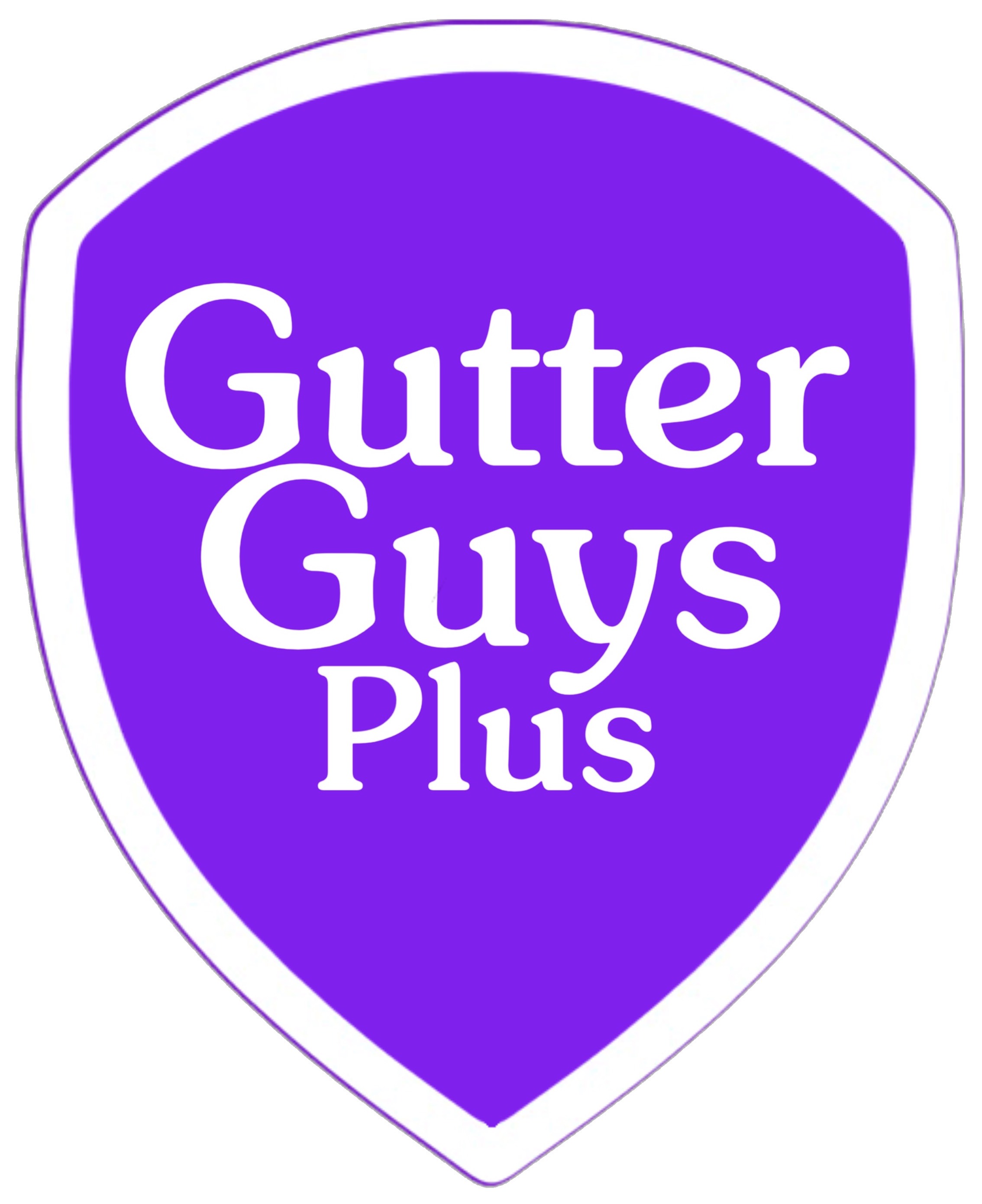 Gutter Guys website and company logo